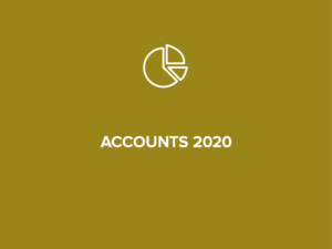 Accounts 2020