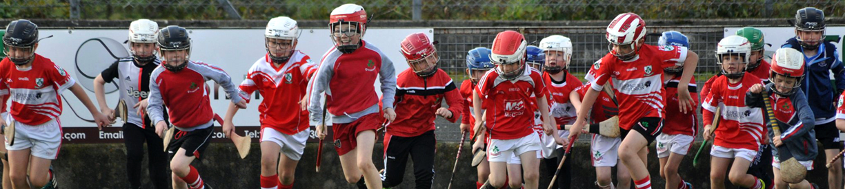 Ulster_Loughgiel Shamrocks GAC_Banner